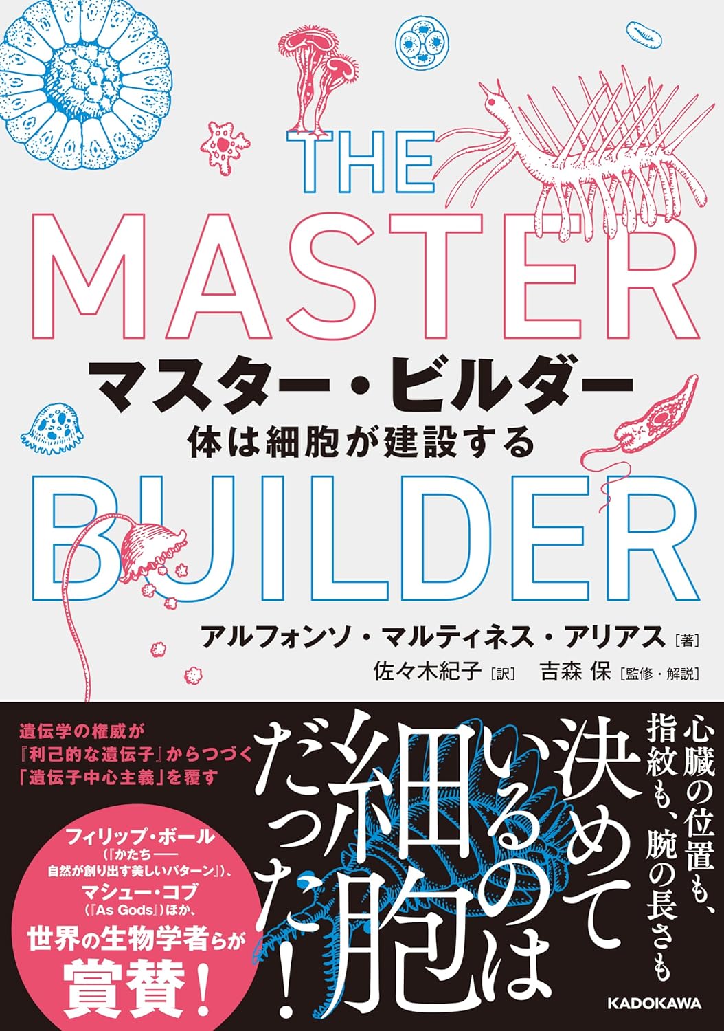 マスター・ビルダー